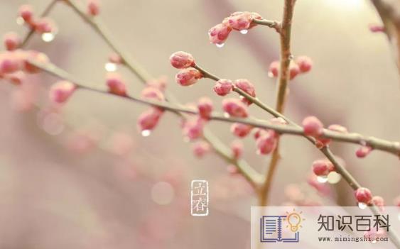 躲春可以做家务吗1