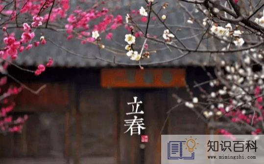 躲春可以做家务吗2