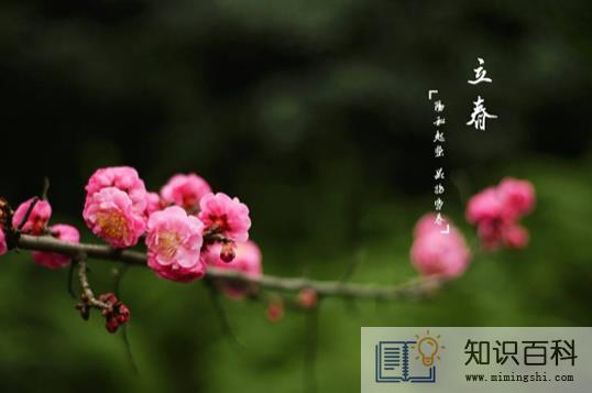 躲春可以听歌吗1