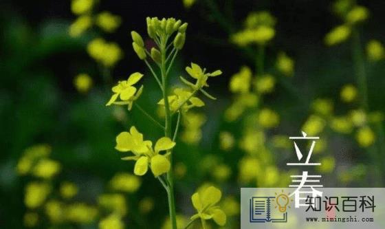 躲春可以听收音机吗3