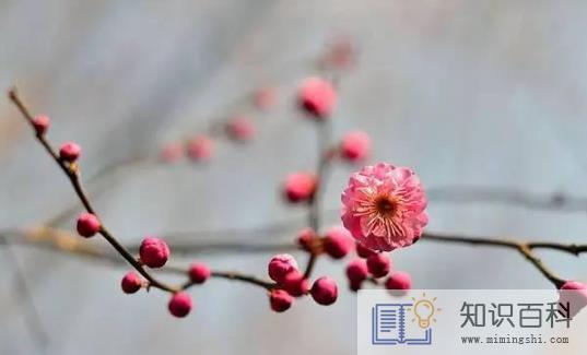 躲春可以和男朋友打电话吗2