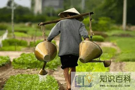 2022春分的时候农民种地了吗1